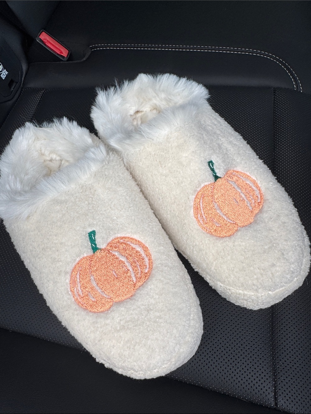 American Eagle Cozy Cream Slipper Mules with Embroidered Pumpkin